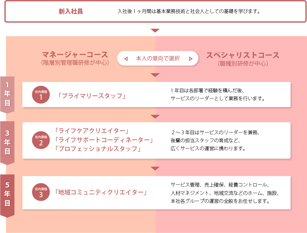 キャリアパス研修の流れ