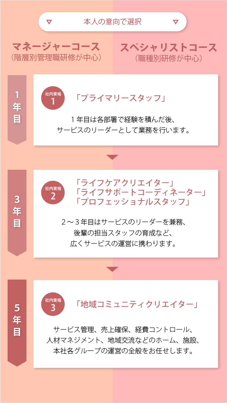 キャリアパス研修の流れ
