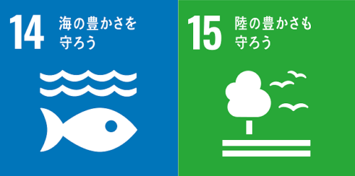 sdg14と15